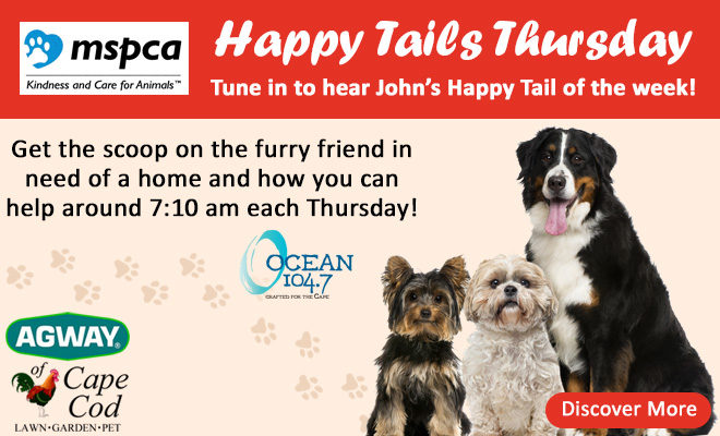 Introducing Happy Tails Thursday