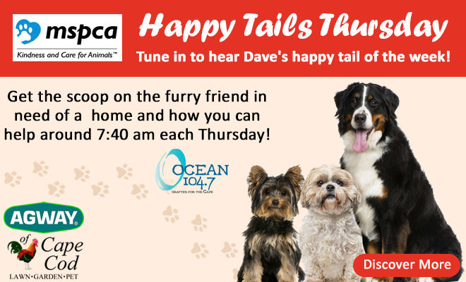Introducing Happy Tails Thursday