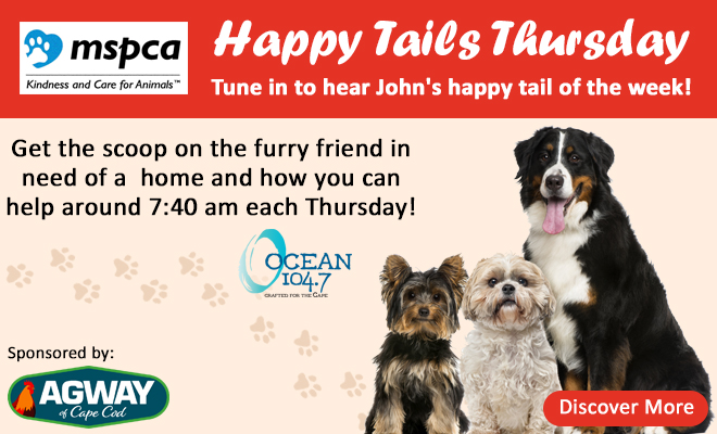 Introducing Happy Tails Thursday