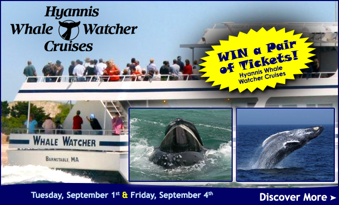 Win a Pair of tickets to the Hyannis Whale Watcher Cruises!